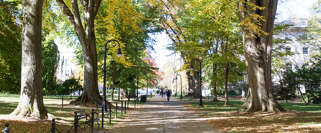 A view of a sidewalk on the tree-covered Mall on Penn State University Park campus in fall.